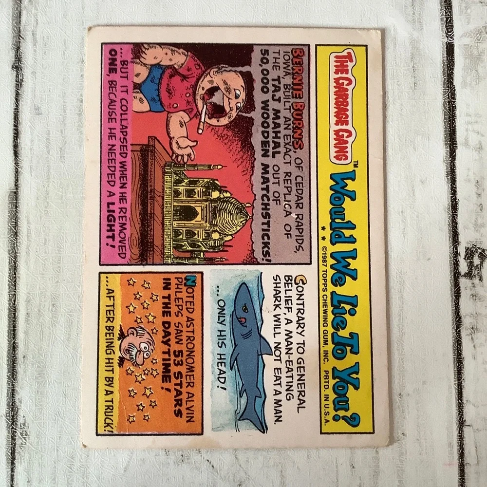 Topps 1987 Topps Garbage Pail Kids Series 9 Ragged Aggie #378b